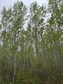 ON Burrows Lake Rd - Photo 1