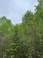 ON Burrows Lake Rd - Photo 1
