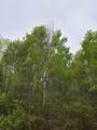 ON Burrows Lake Rd - Photo 1