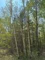 ON Burrows Lake Rd - Photo 1