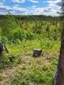 5447 Skunk Creek Rd - Photo 18