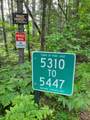 5447 Skunk Creek Rd - Photo 31