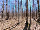 W6786 Silver Creek Rd - Photo 14