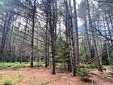 Lot 5 Eagle Waters Rd - Photo 12