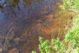 4186 Hwy 17 - Photo 70