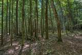 Lot 2 Four Mile Creek Rd - Photo 10
