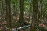 Lot 2 Four Mile Creek Rd - Photo 12