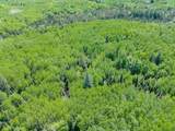 55.77 AC Neuberger Rd - Photo 2