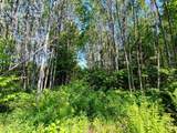 55.77 AC Neuberger Rd - Photo 3