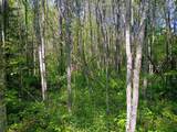 55.77 AC Neuberger Rd - Photo 4
