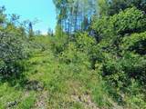 55.77 AC Neuberger Rd - Photo 7
