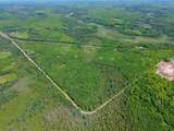 55.77 AC Neuberger Rd - Photo 9