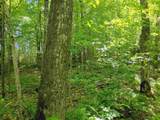 74.40 AC Neuberger Rd - Photo 10