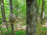 74.40 AC Neuberger Rd - Photo 6