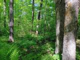 74.40 AC Neuberger Rd - Photo 9