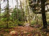 1325 Bates-Amasa Rd - Photo 31