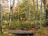 1325 Bates-Amasa Rd - Photo 32