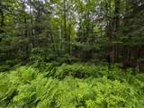Lot 2 Davies Rd - Photo 2