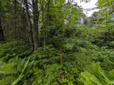 Lot 2 Davies Rd - Photo 4