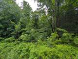 LOT 4 Davies Rd - Photo 4
