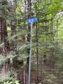 ON Wayne Dr - Photo 17