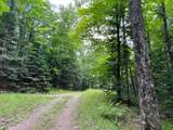 ON Wayne Dr - Photo 9