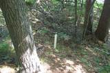 10310 Reible Ct - Photo 30