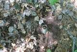 10310 Reible Ct - Photo 31