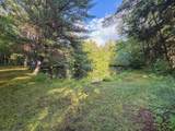 10360 Big Eddie Ln - Photo 27