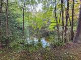 10360 Big Eddie Ln - Photo 31