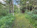 10360 Big Eddie Ln - Photo 33