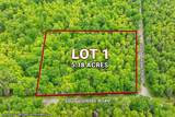 Lots 1,2 South Shore Rd - Photo 2