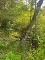 ON Lake John Rd - Photo 2