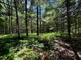 ON Camp Nine Rd - Photo 10
