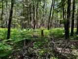 ON Camp Nine Rd - Photo 12