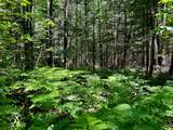 ON Camp Nine Rd - Photo 14