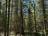 ON Camp Nine Rd - Photo 18