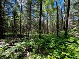 ON Camp Nine Rd - Photo 20