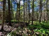 ON Camp Nine Rd - Photo 21