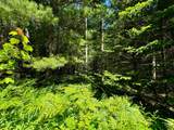 ON Camp Nine Rd - Photo 26