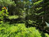 ON Camp Nine Rd - Photo 27