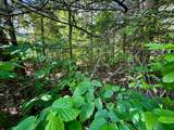 ON Camp Nine Rd - Photo 29