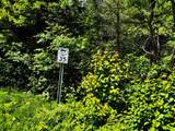 ON Camp Nine Rd - Photo 37