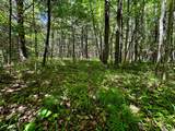 ON Camp Nine Rd - Photo 5