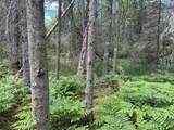 Lot off Melody Dr - Photo 1