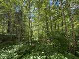 Lot 1 Maplestone Rd - Photo 3