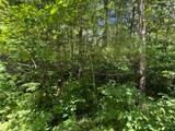 Lot 12 Flintrock Dr - Photo 2