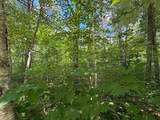 Lot 12 Flintrock Dr - Photo 6