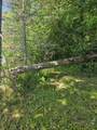 1441 Range Line Lake Ln - Photo 33