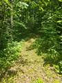 1441 Range Line Lake Ln - Photo 4